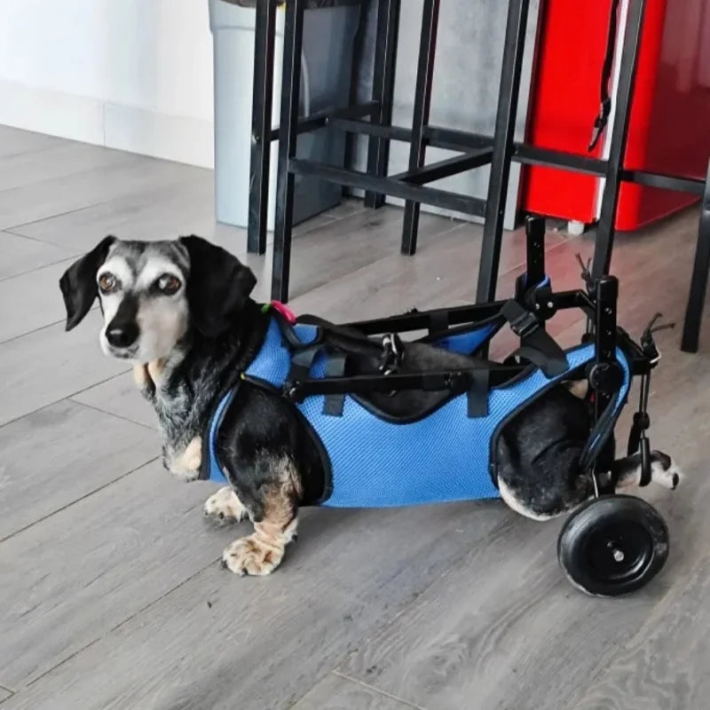 Adjustable Lightweight Dog Wheelchair For Back Legs Rehabilitation Outdoor Mobility Aid For Small Pets Cart Wheels Hip Support
